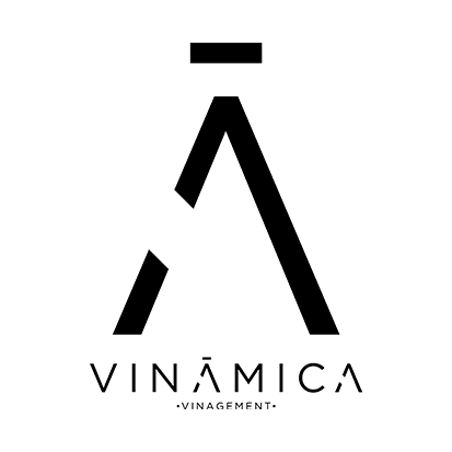 vinamica_1